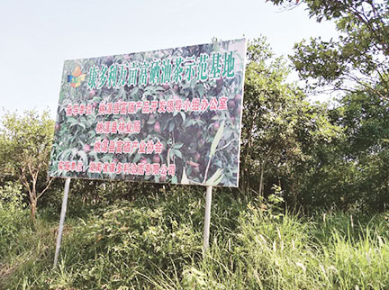 博源国际(中国)有限公司官网