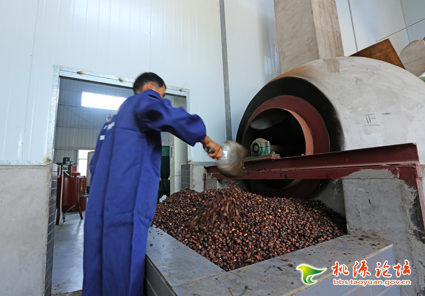 博源国际,油茶莳植生产加工销售,植物油莳植生产加工销售