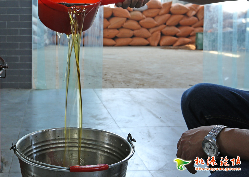 博源国际,油茶莳植生产加工销售,植物油莳植生产加工销售