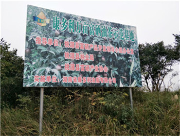 博源国际,油茶莳植生产加工销售,植物油莳植生产加工销售